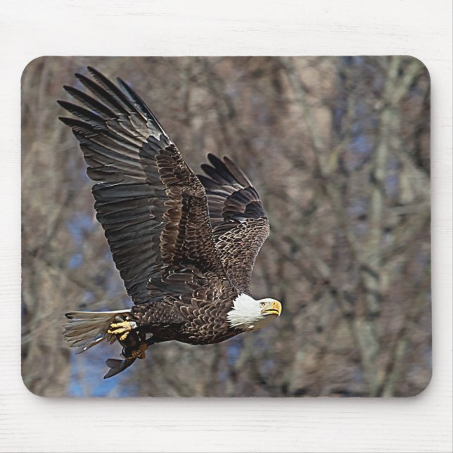 Bald-Adler mit Katfisch Mousepad (Vorne)