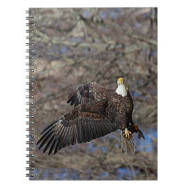 Bald-Adler mit Katfisch Notizblock