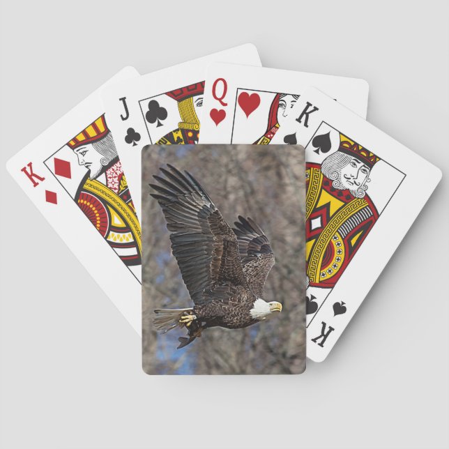 Bald-Adler mit Katfisch Spielkarten (Rückseite)