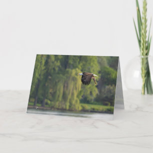 Bald Adler mit Lachs Pazifik Northwest Blank Hol Feiertagskarte
