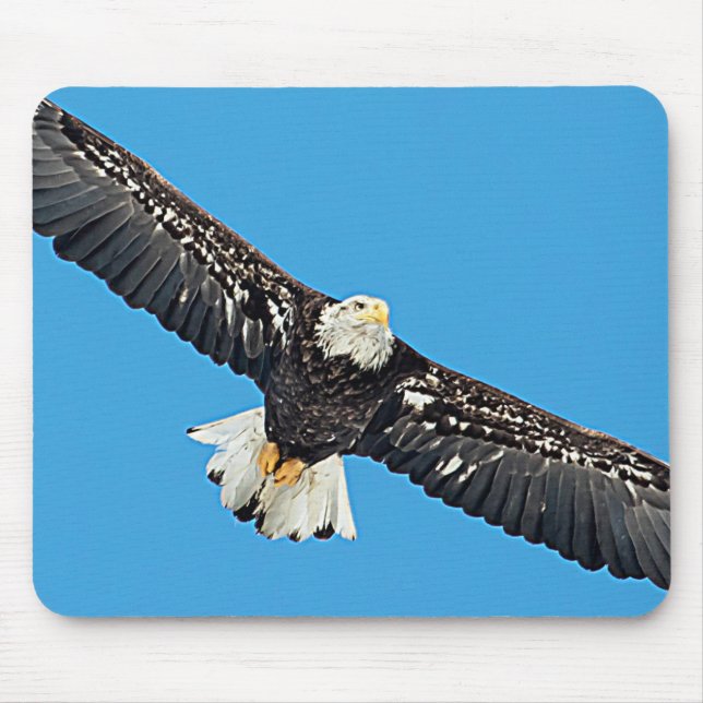 Bald-Adler Mousepad (Vorne)