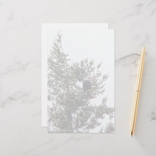 Bald-Adler P2825 (Vorderseite/Rückseite Beispiel)