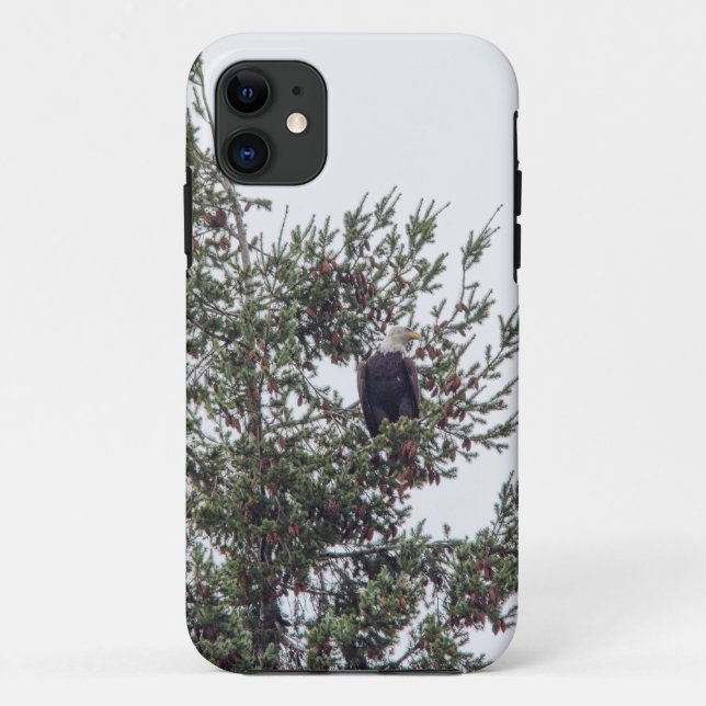 Bald-Adler P2825 Case-Mate iPhone Hülle (Rückseite)