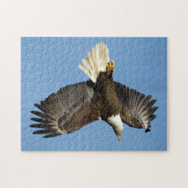 Bald-Adler taucht ins Wasser