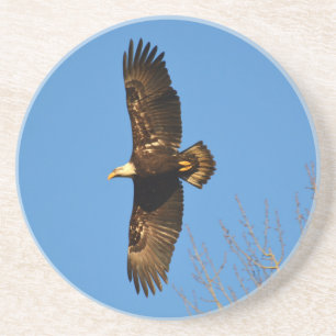 Bald-Adler über Bäumen Sandstein Untersetzer