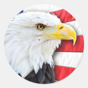 Bald Adler und Flagge Runder Aufkleber