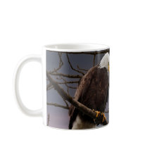 Bald-Adler unter der Natur von Vollmond