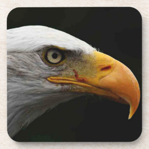 Bald-Adler-Untersetzer mit Kork Getränkeuntersetzer