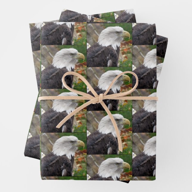 Bald-Adler - Verpackungspapierblätter Geschenkpapier Set (Beispiel)