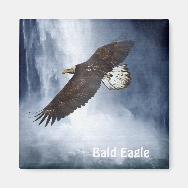 Bald Adler & Waterfall Naturerlebnis Magnet für ju (Vorne)