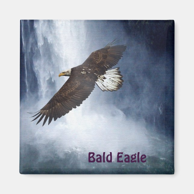 Bald Adler & Waterfall Naturerlebnis Magnet für ju (Vorne)