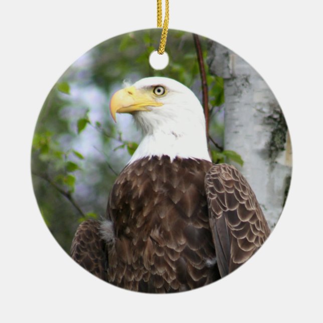 Bald-Adlerfotografie mit Bibelverse Keramik Ornament (Vorne)