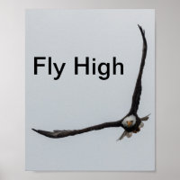 Bald Adlervogel Flug Inspiration Natur