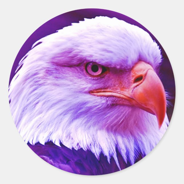 Bald American Eagle Runder Aufkleber (Vorderseite)