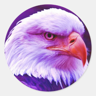 Bald American Eagle Runder Aufkleber