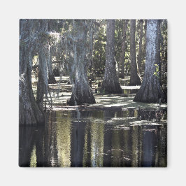 Bald Cypress Magnet
