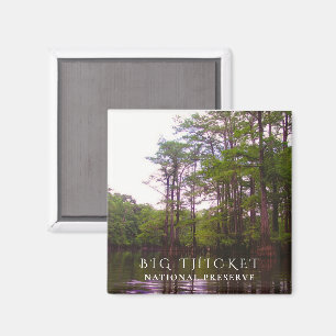 Bald-Cypress-Sumpf, Big-Thicket-Nationalreserve Magnet
