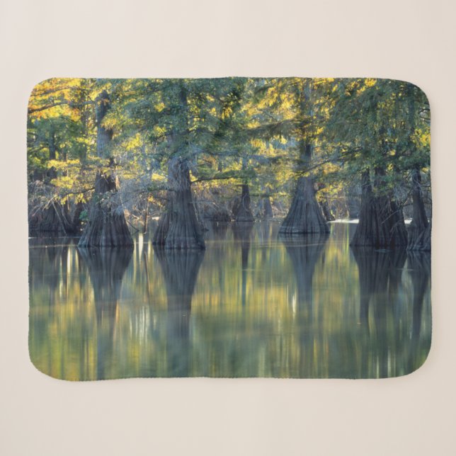 Bald Cypress Trees | Horseshoe Lake Illinois Sherpadecke (Vorderseite (Horizontal))