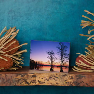 Bald Cypress Trees National Wildlife Refuge, TN Fotoplatte