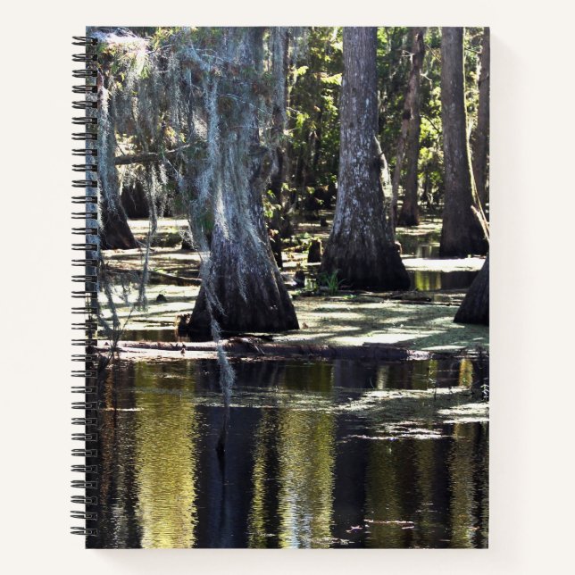 Bald Cypress Trees Notizbuch (Vorderseite)