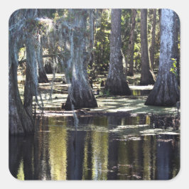 Bald Cypress Trees Quadratischer Aufkleber