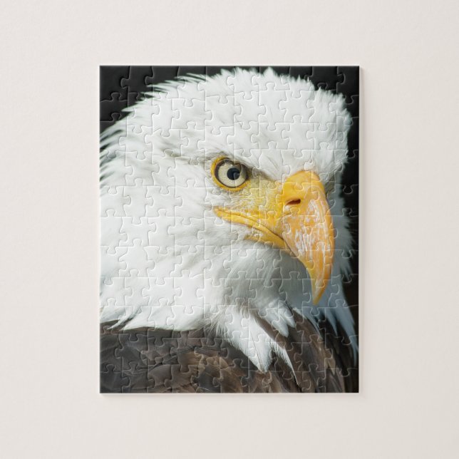 Bald Eagle (Vertikal)