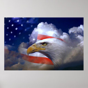 Bald Eagle 4 juillet affiche 10