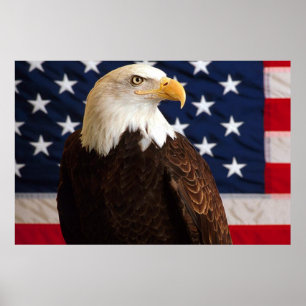 Bald Eagle 4 juillet affiche 14