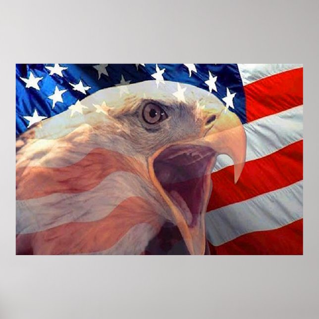 Bald Eagle 4 juillet affiche 4 (Devant)