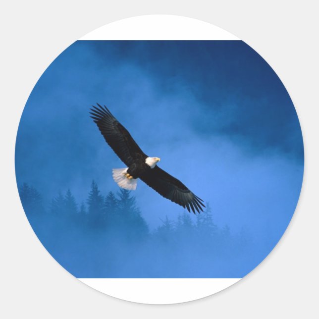 Bald-Eagle-Alaska Runder Aufkleber (Vorderseite)