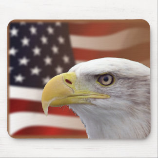 Bald Eagle & American Flag Mousepad