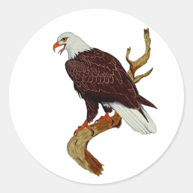Bald Eagle American National Symbol Pride Stärke Runder Aufkleber (Vorderseite)