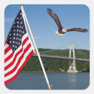 Bald Eagle (amerikanischer Stolz) Quadratischer Aufkleber