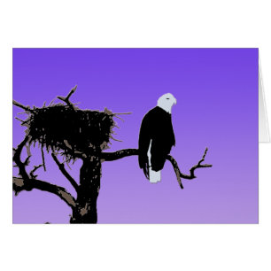 Bald Eagle at Sunset - Ursprüngliche Naturkunde