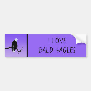 Bald Eagle at Sunset - Ursprüngliche Naturkunde Autoaufkleber