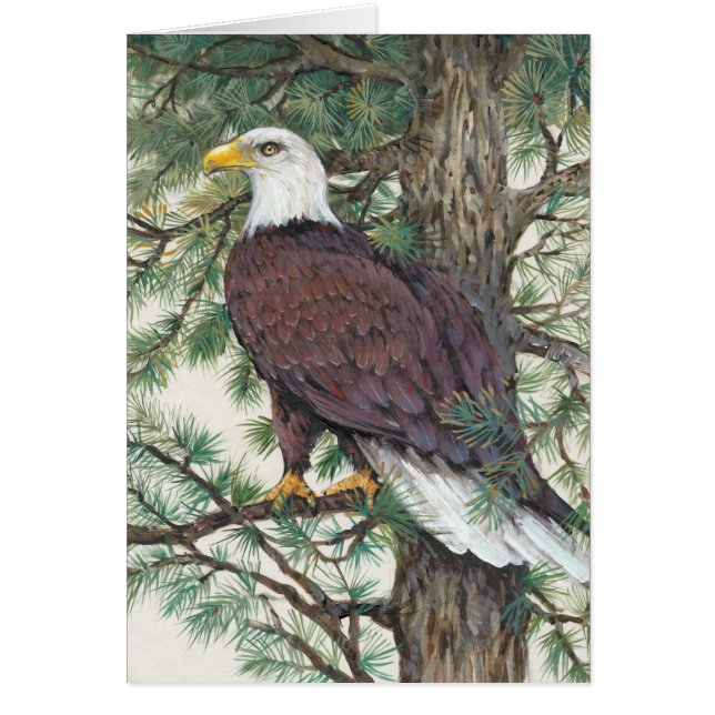 Bald Eagle auf Zweig (Vorne)