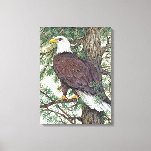 Bald Eagle auf Zweig Leinwanddruck (Vorderseite)
