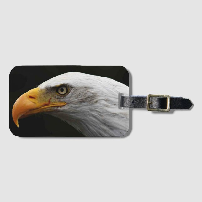 Bald Eagle bc ltcna Gepäckanhänger (Vorderseite (Horizontal))