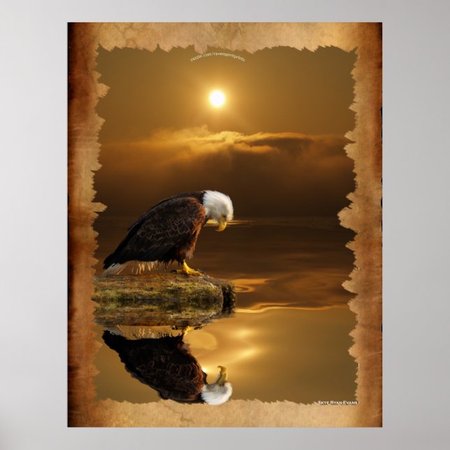 Bald Eagle bei Sunset Gratitude Series Poster (Vorne)