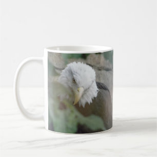 Bald Eagle Bird Tasse Cup