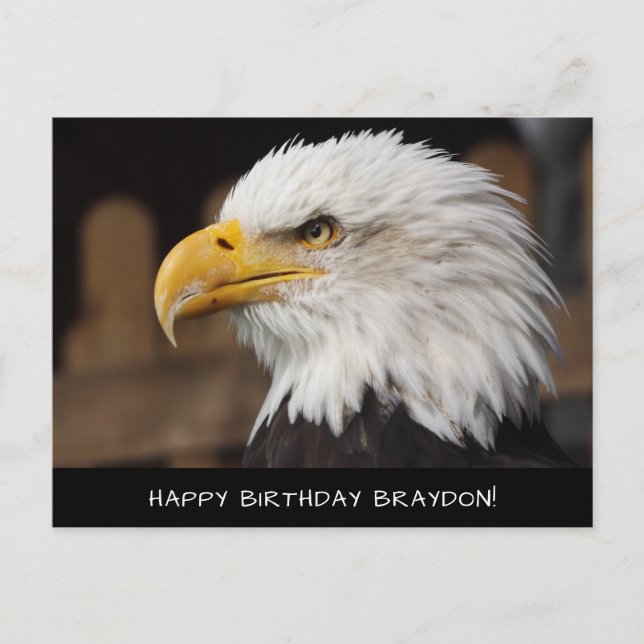 Bald Eagle Birthday Postcard Postkarte (Vorderseite)