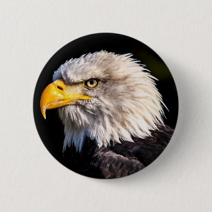 Bald Eagle Button