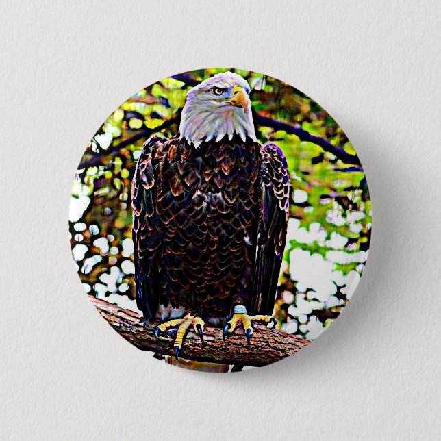 Bald Eagle Button (Vorderseite)