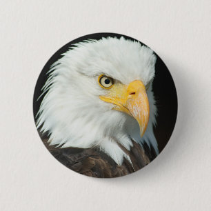 Bald Eagle Button