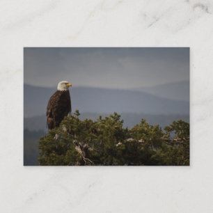 Bald Eagle - Carte de visite