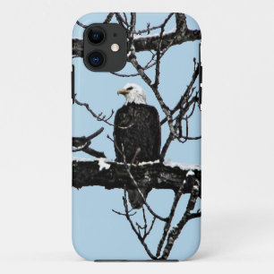 Bald Eagle iPhone 11 Hülle
