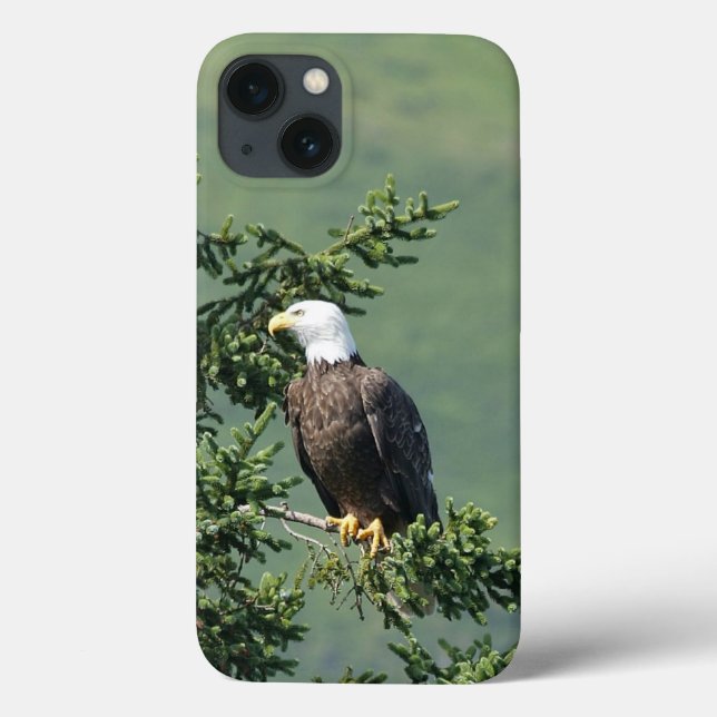Bald Eagle Case-Mate iPhone Hülle (Rückseite)