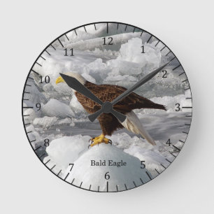 Bald Eagle clock Runde Wanduhr