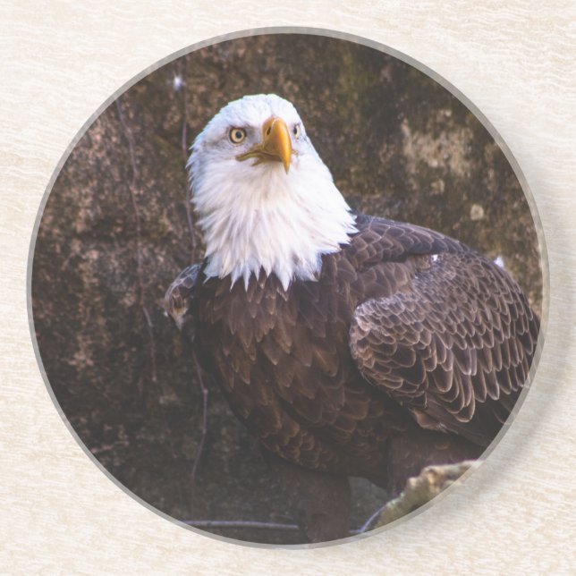 Bald Eagle Coaster Getränkeuntersetzer (Vorne)