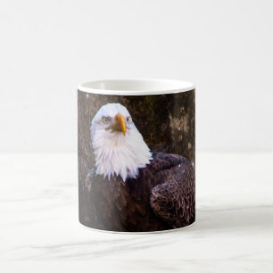 Bald Eagle Coffee Tasse